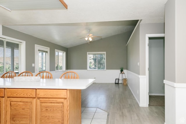 3229 E Riverdale Rd, Preston, ID 83263 - kitchen featuring light countertops, ceiling fan, light wood-type flooring, a breakfast bar area, and vaulted ceiling