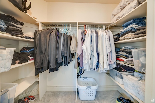 3035 S Big Hollow Rd, Heber City, UT 84032 - walk in closet with carpet