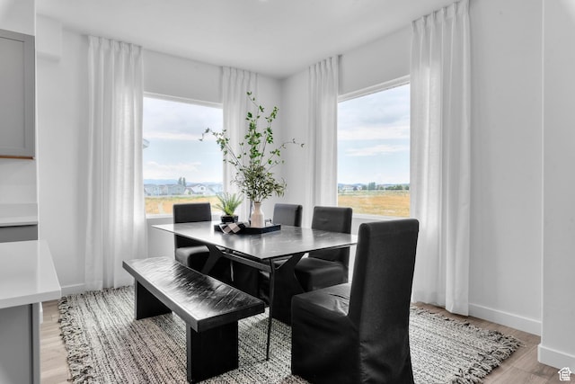 3947 N Aggie Dr Unit 301, Eagle Mountain, UT 84005 - dining area with light wood finished floors and baseboards