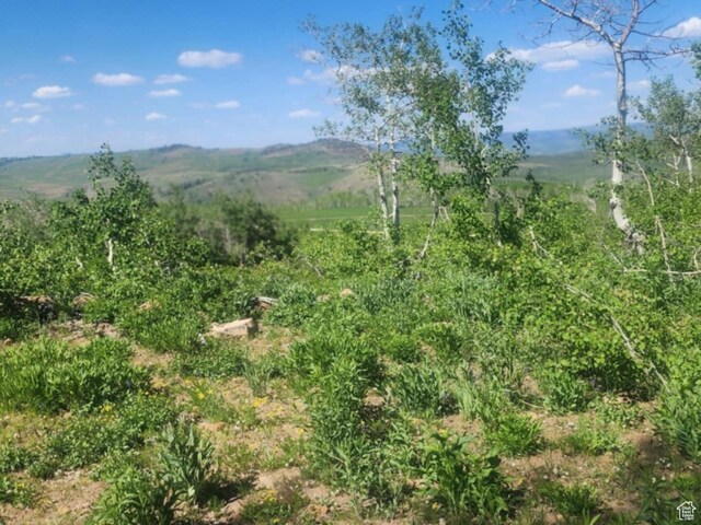 7434 N Rendezvous Rd Unit H250, Huntsville, UT 84317 - photo 6