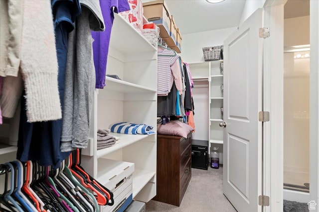 1381 W 425 S, Layton, UT 84041 - walk in closet with carpet flooring