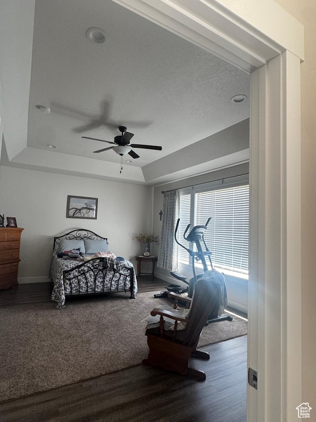 5593 W 5550 S, Hooper, UT 84315 - bedroom with a tray ceiling, wood finished floors, and a ceiling fan