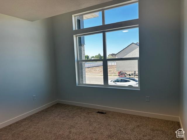 3581 W 725 S Unit 105, West Weber, UT 84401 - empty room featuring carpet floors and plenty of natural light