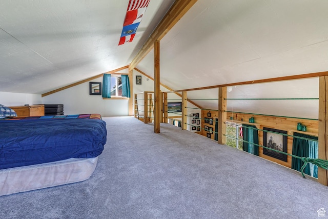 0, Paradise, UT 84328 - carpeted bedroom with lofted ceiling