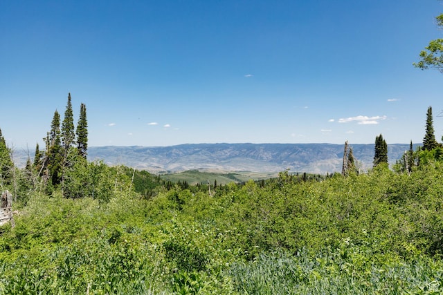 0, Paradise, UT 84328 - mountain view