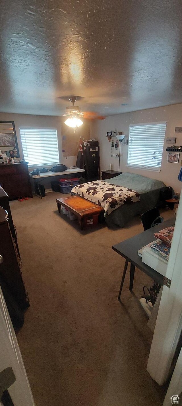 4234 W 700 N, Vernal, UT 84078 - photo 5