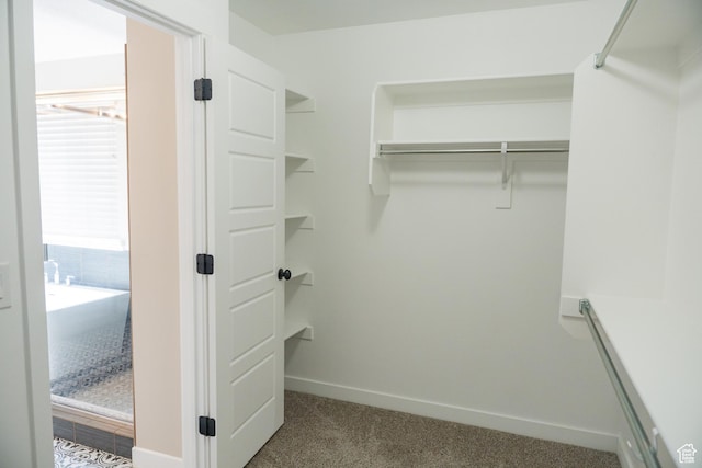 1272 E 1470 N, Payson, UT 84651 - spacious closet featuring carpet