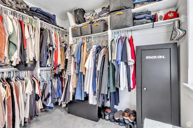 631 W 550 N, Smithfield, UT 84335 - spacious closet with carpet flooring