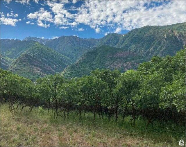 98 Lone Hollow Dr Unit 902, Sandy, UT 84092 - photo 7