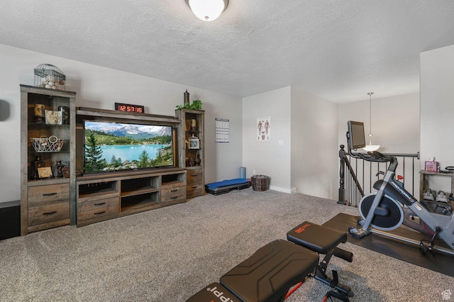 5671 S 650 E, Washington Terrace, UT 84405 - exercise room with carpet floors and a textured ceiling