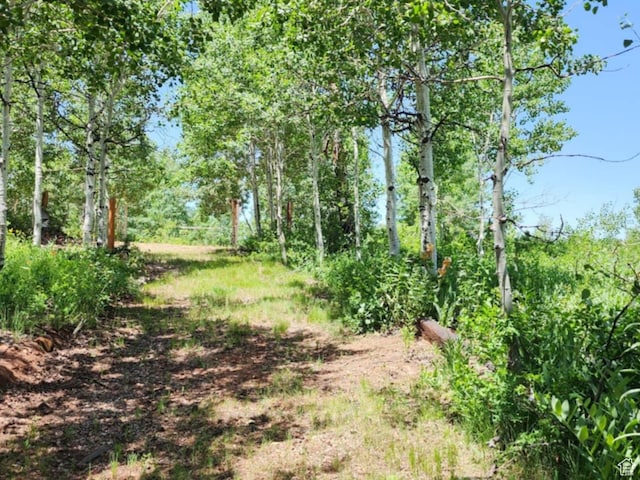 11829 Falcon Pt Unit H21, Huntsville, UT 84317 - view of local wilderness