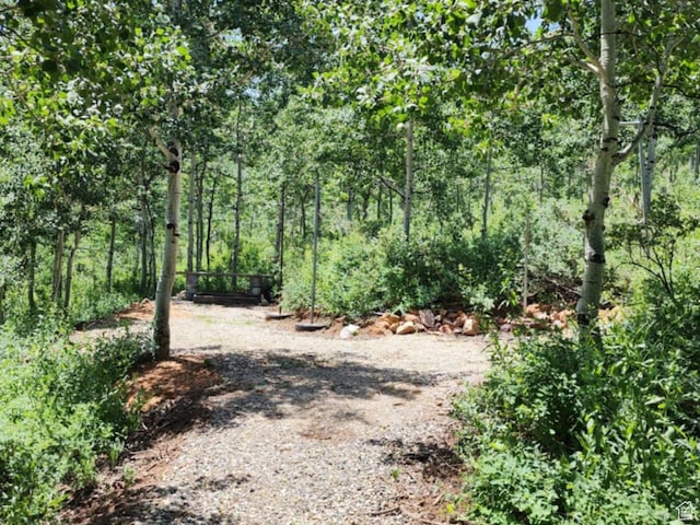 11829 Falcon Pt Unit H21, Huntsville, UT 84317 - view of yard with a forest view
