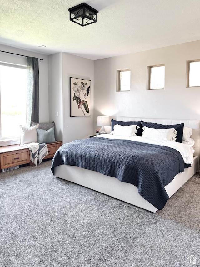 1790 S 940 W, Richfield, UT 84701 - carpeted bedroom with multiple windows and a textured ceiling