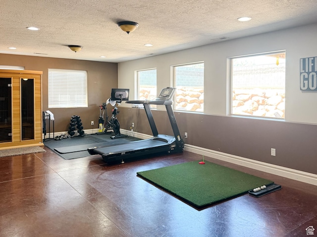 1790 S 940 W, Richfield, UT 84701 - exercise room with a textured ceiling and recessed lighting
