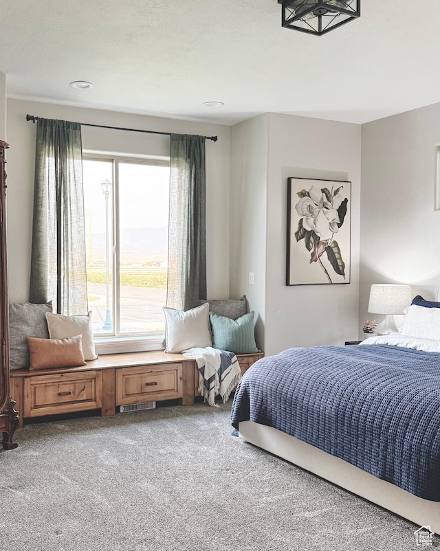 1790 S 940 W, Richfield, UT 84701 - view of carpeted bedroom