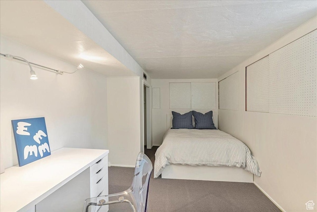1351 E Browning Ave S, Salt Lake City, UT 84105 - carpeted bedroom featuring track lighting and baseboards