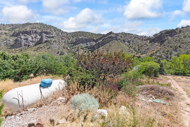 890 E Monroe Canyon Rd S, Monroe, UT 84754 - view of mountain background