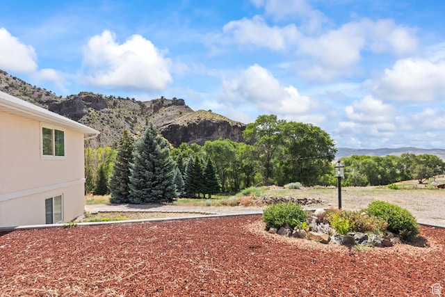 890 E Monroe Canyon Rd S, Monroe, UT 84754 - view of mountain background