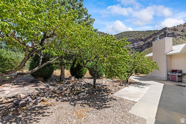 890 E Monroe Canyon Rd S, Monroe, UT 84754 - view of mountain backdrop