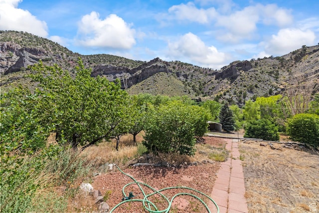 890 E Monroe Canyon Rd S, Monroe, UT 84754 - view of mountain background