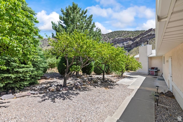 890 E Monroe Canyon Rd S, Monroe, UT 84754 - view of yard with a mountain view and a patio