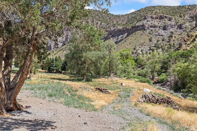 890 E Monroe Canyon Rd S, Monroe, UT 84754 - view of mountain backdrop