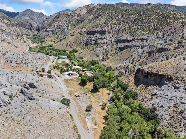 890 E Monroe Canyon Rd S, Monroe, UT 84754 - view of mountain background