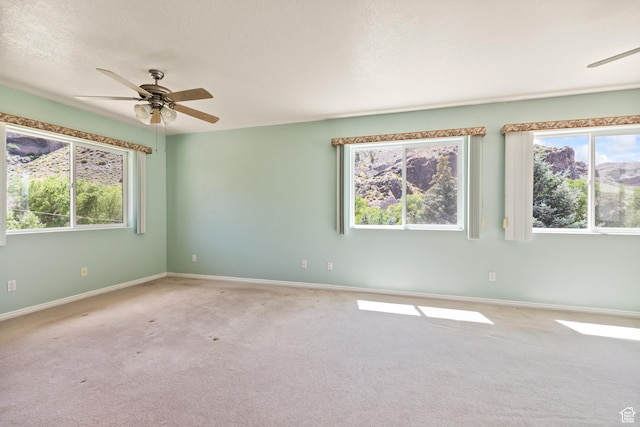 890 E Monroe Canyon Rd S, Monroe, UT 84754 - spare room with a ceiling fan, carpet floors, healthy amount of natural light, and a textured ceiling