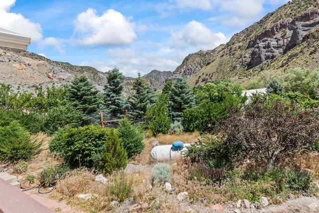 890 E Monroe Canyon Rd S, Monroe, UT 84754 - mountain view
