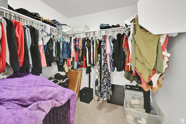 892 N 900 W, Tremonton, UT 84337 - spacious closet with carpet floors