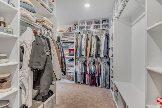 10948 S Samoa Dune Dr Unit 1027, South Jordan, UT 84009 - walk in closet with carpet floors
