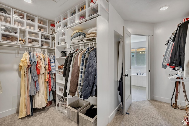 10948 S Samoa Dune Dr Unit 1027, South Jordan, UT 84009 - spacious closet with carpet floors