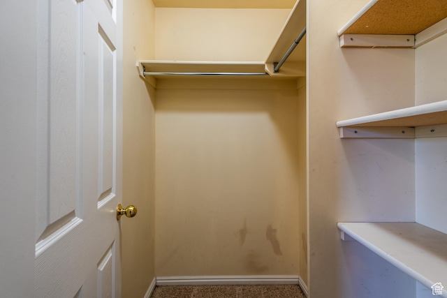 494 W 600 S, Tooele, UT 84074 - walk in closet featuring carpet flooring