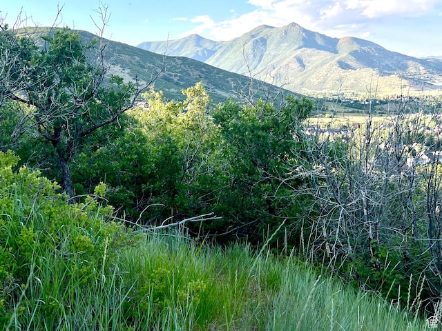 1441 Berrys Way Unit 147, Midway, UT 84049