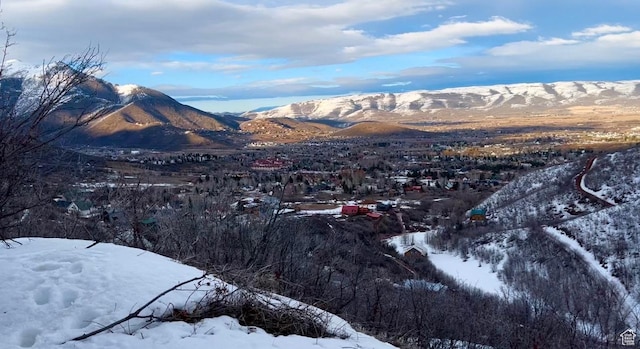 1441 Berrys Way Unit 147, Midway, UT 84049