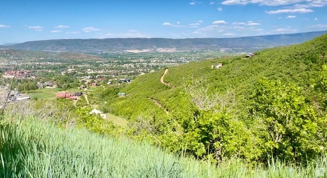 1441 Berrys Way Unit 147, Midway, UT 84049