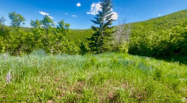 1441 Berrys Way Unit 147, Midway, UT 84049