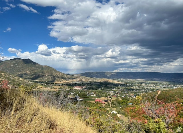 1441 Berrys Way Unit 147, Midway, UT 84049