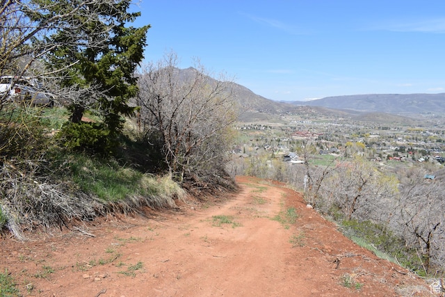 1441 Berrys Way Unit 147, Midway, UT 84049