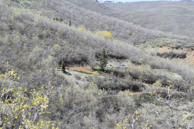 1441 Berrys Way Unit 147, Midway, UT 84049