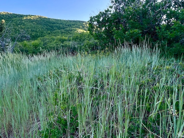 1441 Berrys Way Unit 147, Midway, UT 84049