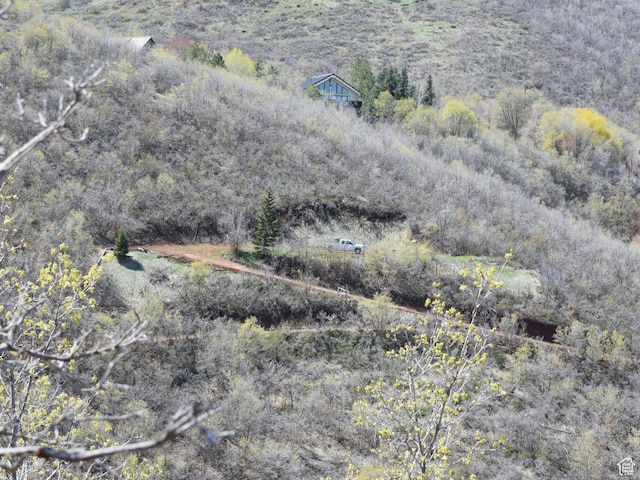 1441 Berrys Way Unit 147, Midway, UT 84049