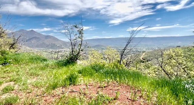 1441 Berrys Way Unit 147, Midway, UT 84049