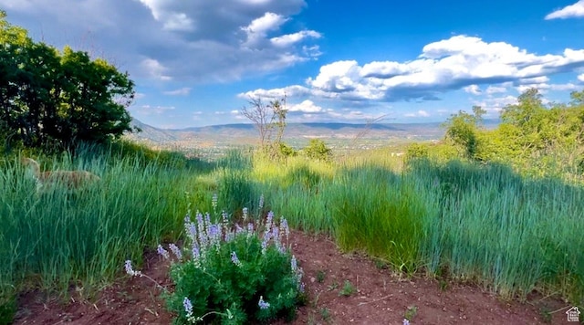 1441 Berrys Way Unit 147, Midway, UT 84049