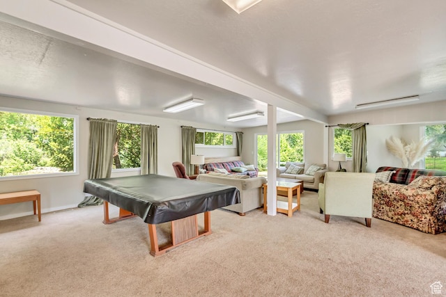 4851 S Woodbridge Dr Unit 38, Holladay, UT 84117 - game room featuring light colored carpet and pool table