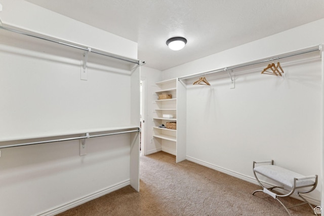 14318 S Butterfield Park Way, Herriman, UT 84096 - walk in closet with carpet flooring