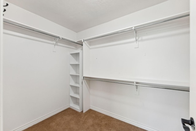 14318 S Butterfield Park Way, Herriman, UT 84096 - spacious closet featuring carpet