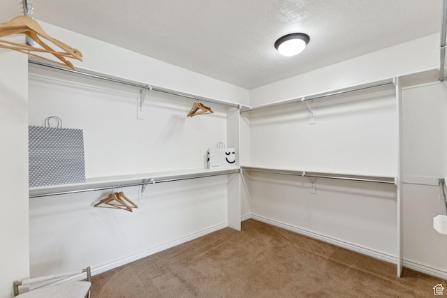 14318 S Butterfield Park Way, Herriman, UT 84096 - spacious closet featuring carpet