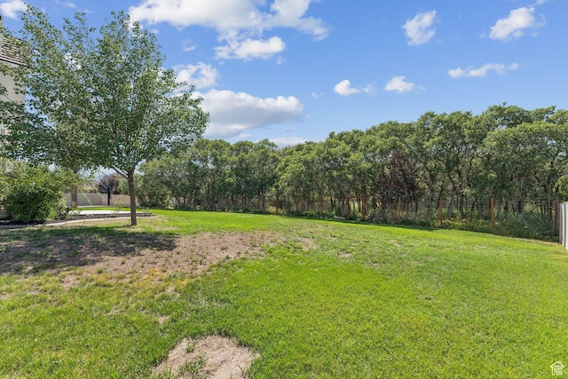 14318 S Butterfield Park Way, Herriman, UT 84096 - view of yard