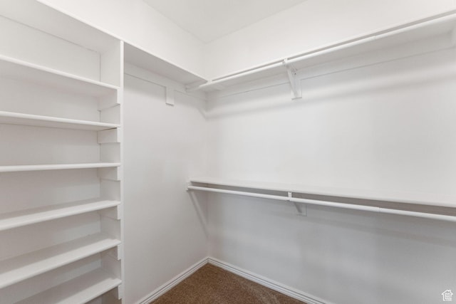 14318 S Butterfield Park Way, Herriman, UT 84096 - spacious closet featuring dark carpet